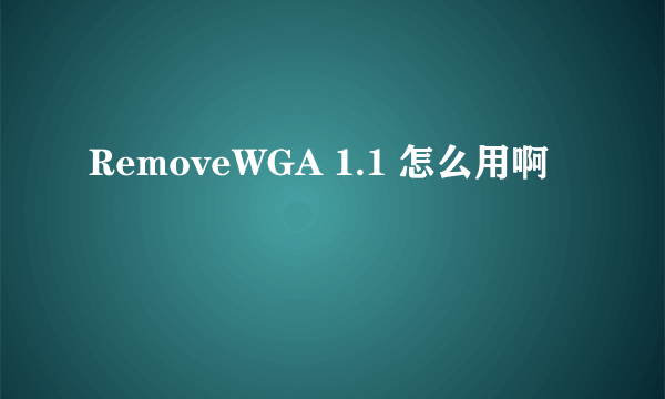 RemoveWGA 1.1 怎么用啊