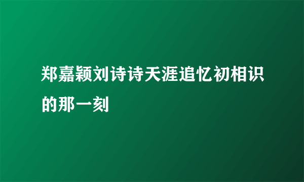 郑嘉颖刘诗诗天涯追忆初相识的那一刻