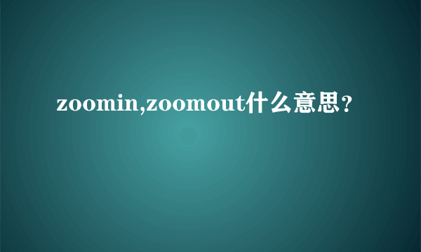 zoomin,zoomout什么意思？