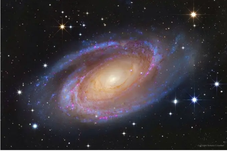 Quintumnia星球位于哪个星座？距离地球多远？