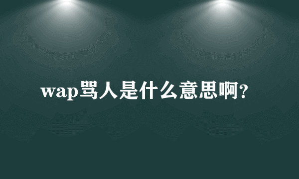 wap骂人是什么意思啊？