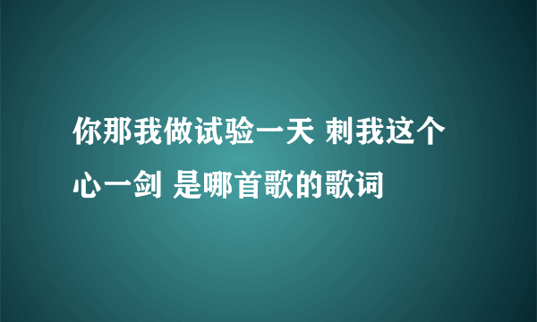 你那我做试验一天 刺我这个心一剑 是哪首歌的歌词