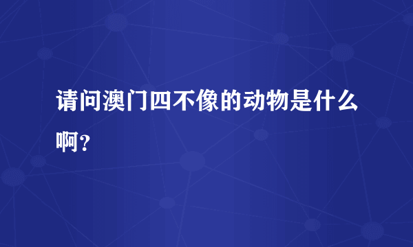 请问澳门四不像的动物是什么啊？