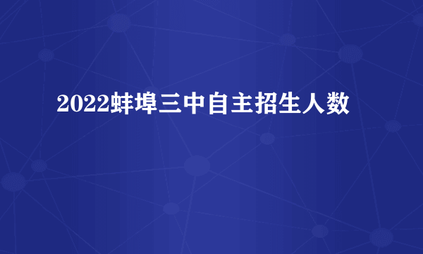 2022蚌埠三中自主招生人数