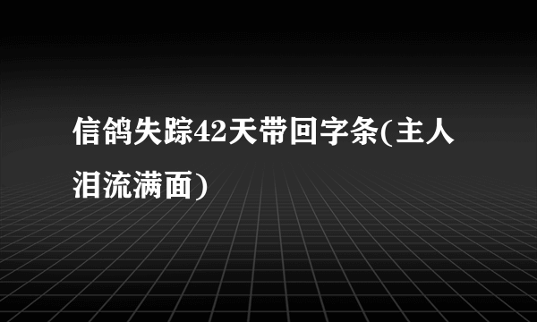 信鸽失踪42天带回字条(主人泪流满面)