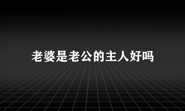 老婆是老公的主人好吗