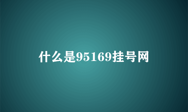 什么是95169挂号网