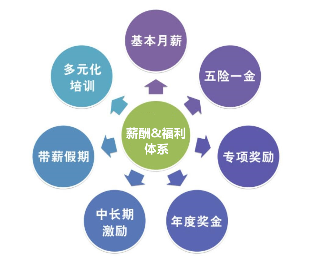 c& b是什么职位啊？