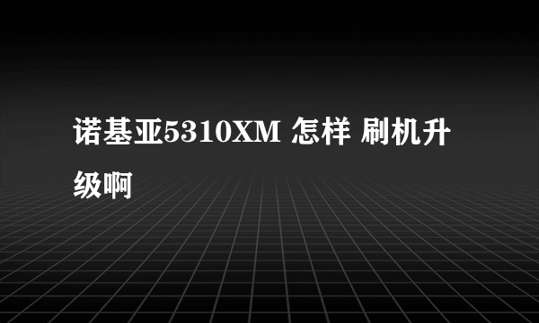 诺基亚5310XM 怎样 刷机升级啊