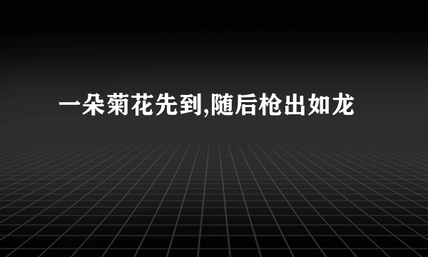 一朵菊花先到,随后枪出如龙