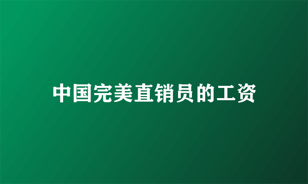 中国完美直销员的工资