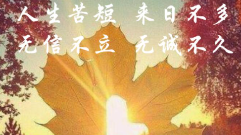 人生苦短，何妨一试 到底是什么意思啊？？ 说详细点..