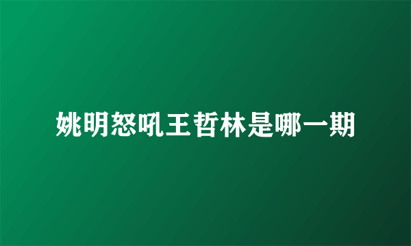 姚明怒吼王哲林是哪一期