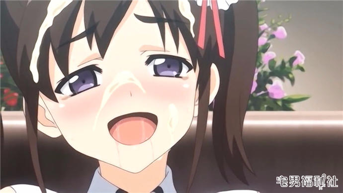 这部作品是什么番