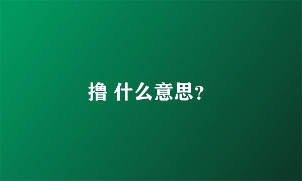 撸 什么意思？
