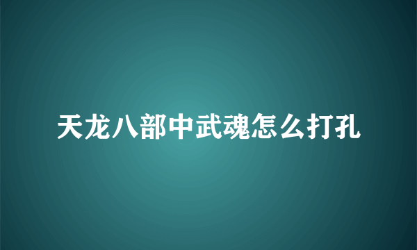天龙八部中武魂怎么打孔