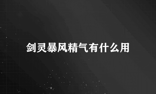 剑灵暴风精气有什么用