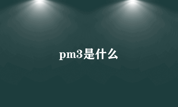 pm3是什么