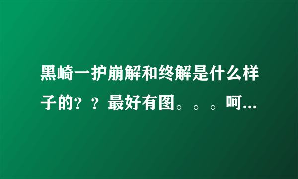 黑崎一护崩解和终解是什么样子的？？最好有图。。。呵呵拜托各位了 3Q