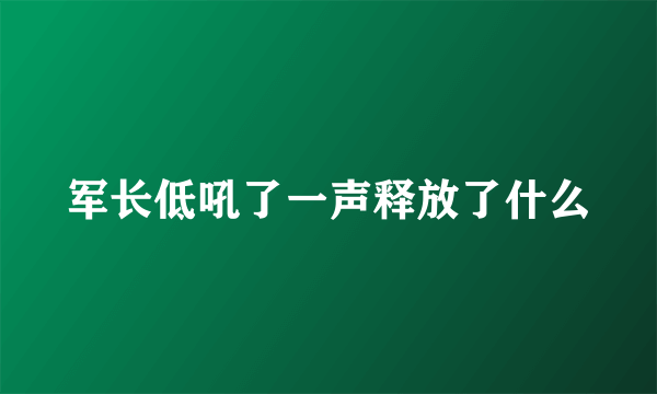 军长低吼了一声释放了什么