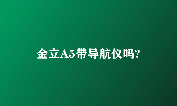 金立A5带导航仪吗?