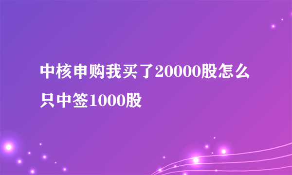 中核申购我买了20000股怎么只中签1000股