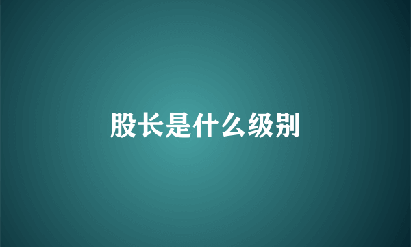 股长是什么级别