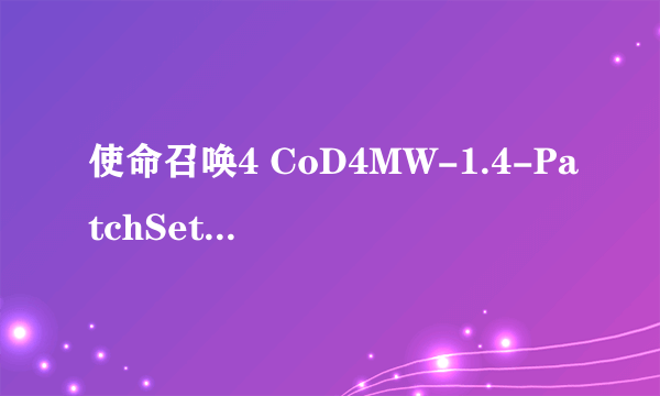 使命召唤4 CoD4MW-1.4-PatchSetup.exe是干嘛的
