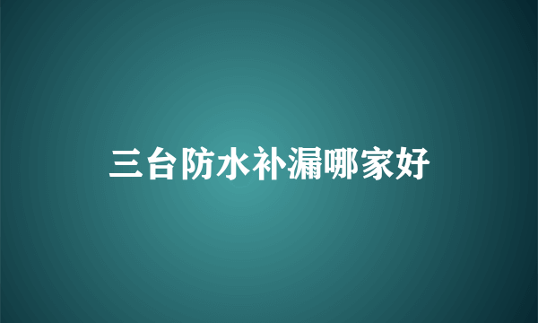 三台防水补漏哪家好