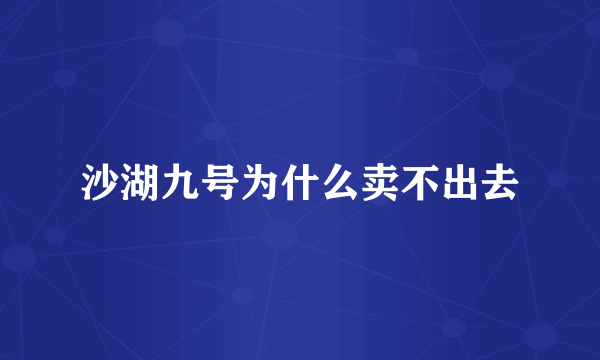 沙湖九号为什么卖不出去