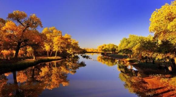 生而千年不死,死而千年不倒,倒而千年不腐。