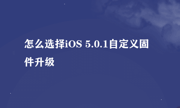 怎么选择iOS 5.0.1自定义固件升级