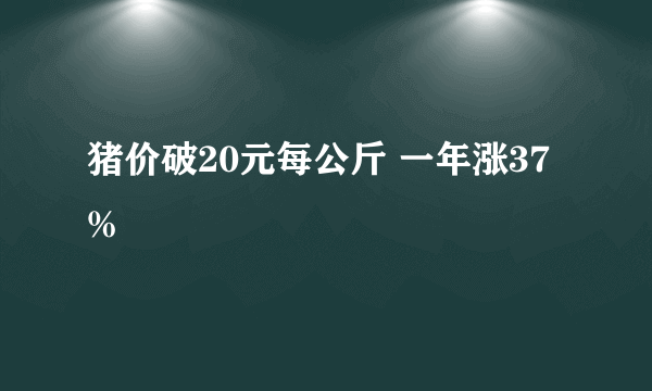 猪价破20元每公斤 一年涨37%