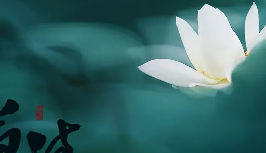青青的小河还是清清的小河？