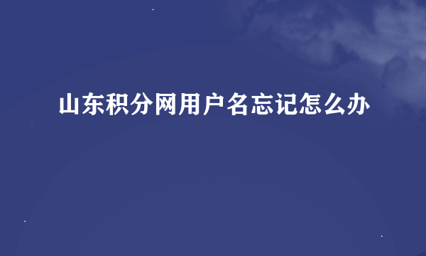 山东积分网用户名忘记怎么办