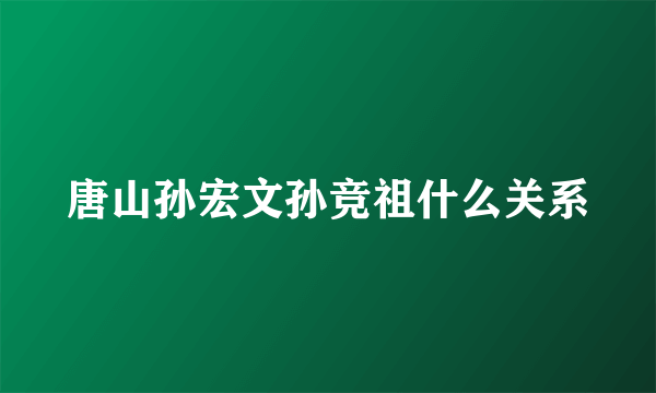 唐山孙宏文孙竞祖什么关系