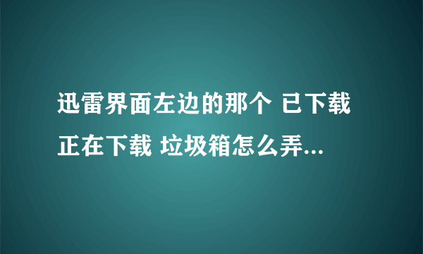 迅雷界面左边的那个 已下载 正在下载 垃圾箱怎么弄出来呀？我给关了
