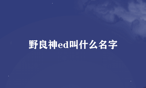 野良神ed叫什么名字