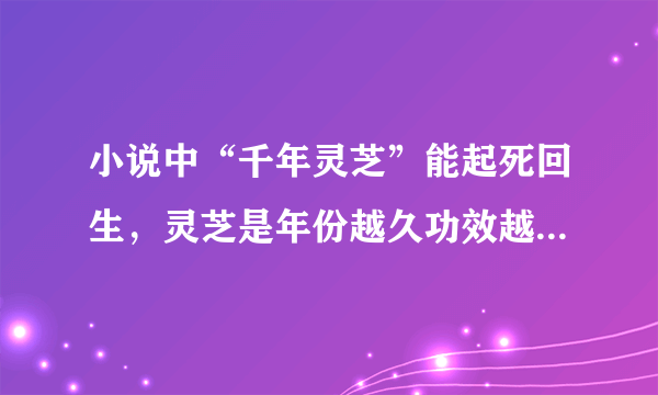 小说中“千年灵芝”能起死回生，灵芝是年份越久功效越好吗_9月1日每日一题答案