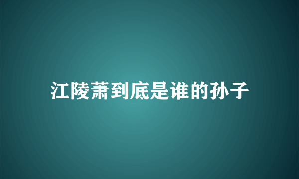 江陵萧到底是谁的孙子