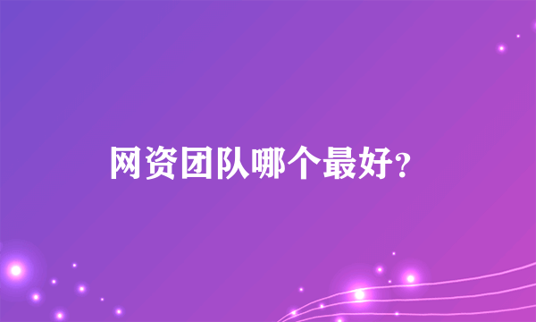 网资团队哪个最好？