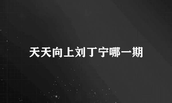 天天向上刘丁宁哪一期