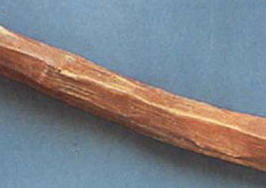 胡椒苏木是什么东西