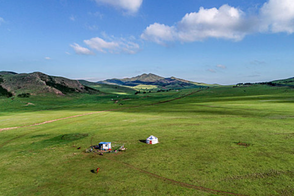 地广人稀是什么生肖？