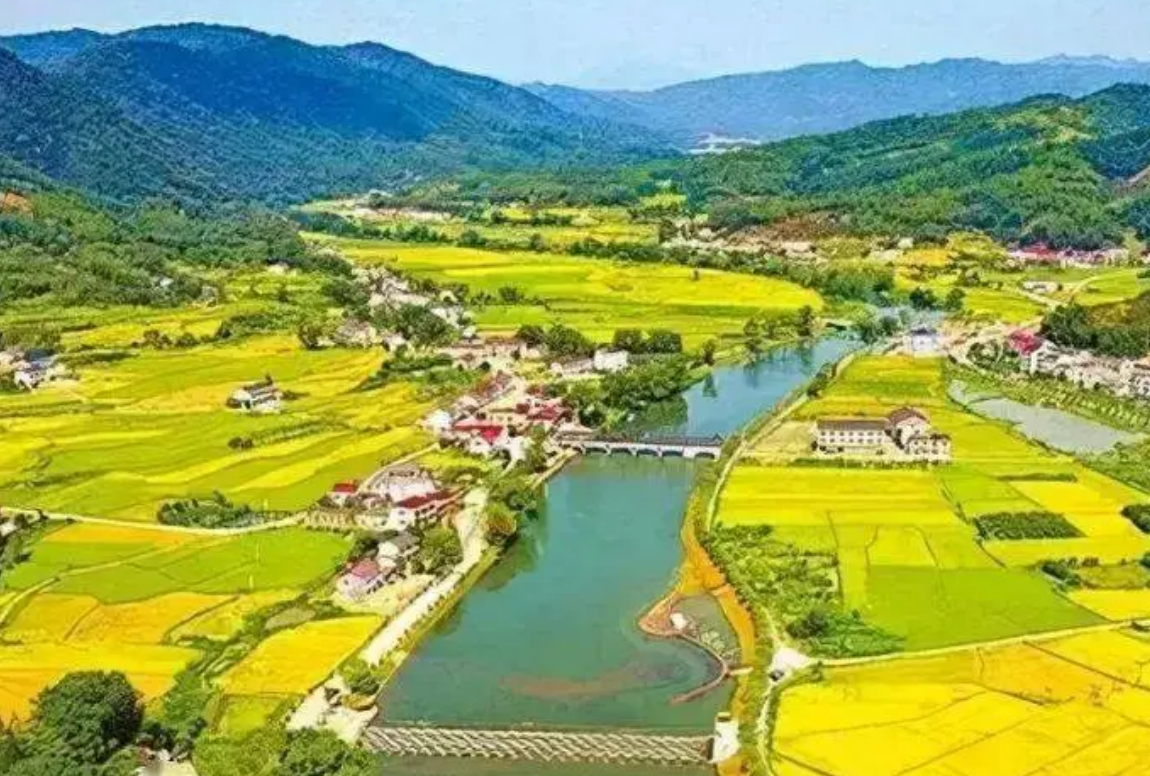 乡村振兴两率一度是指