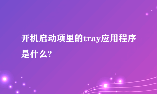 开机启动项里的tray应用程序是什么?