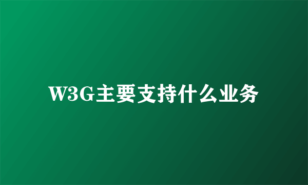 W3G主要支持什么业务