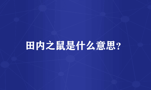 田内之鼠是什么意思？