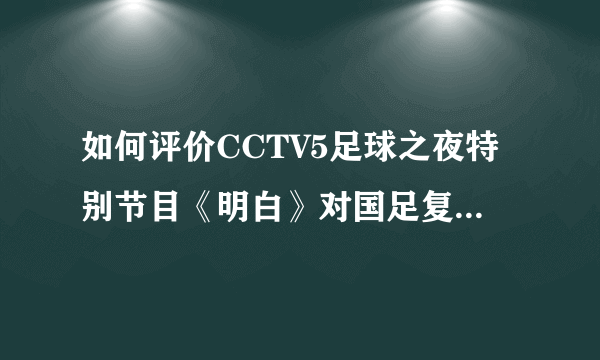 如何评价CCTV5足球之夜特别节目《明白》对国足复盘和高洪