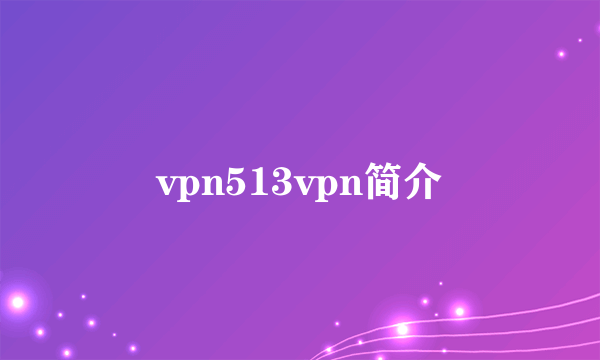 vpn513vpn简介